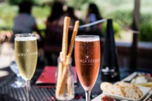 世界杯太假了，一场精心设计的消费陷阱世界杯太假了