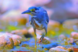 世界杯太假了，一场精心设计的消费陷阱世界杯太假了