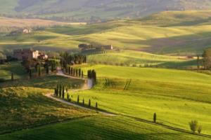 2010年世界杯，阿根廷阵容背后的传奇与荣耀2010世界杯阿根廷阵容